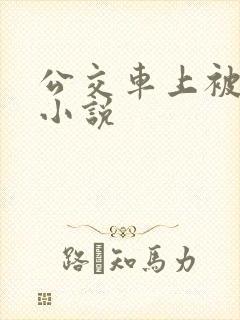 公交车上被人插小说