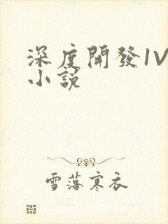 深度开发1V3小说