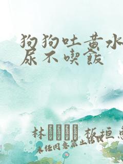 狗狗吐黄水尿黄尿不吃饭