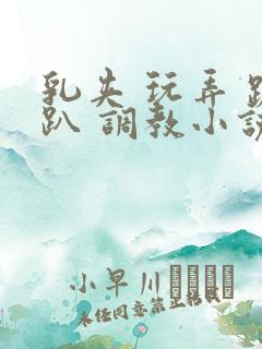 乳夹 玩弄 跪趴 调教小说