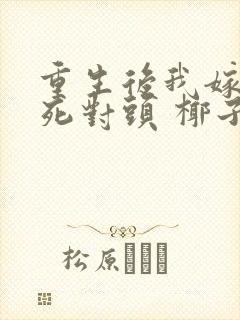 重生后我嫁给了死对头 椰子絮