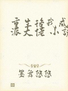 重生后我成了反派大佬 小说