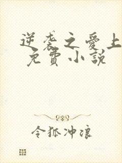 逆袭之爱上情敌 免费小说