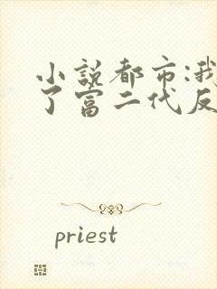 小说都市:我成了富二代反派txt