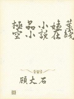 极品小姨叶凡司空小说在线阅读全文