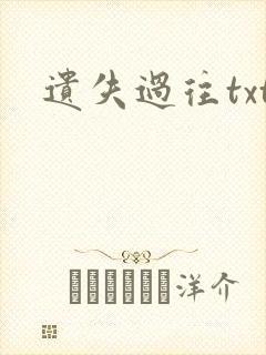 遗失过往txt