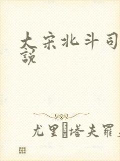大宋北斗司 小说