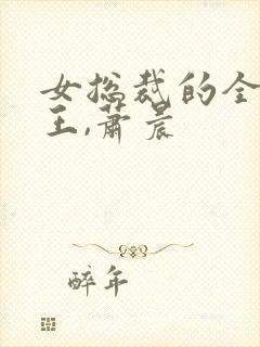 女总裁的全能兵王,萧晨