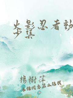 火影忍者动漫多少集