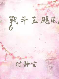战斗王飓风战魂6