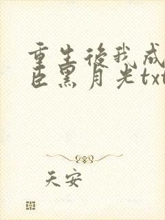 重生后我成了奸臣黑月光txt下载