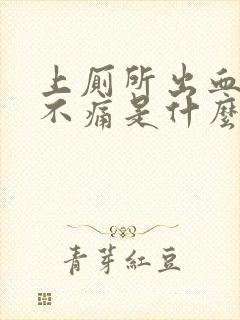 上厕所出血鲜红不痛是什么症状女