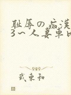 耻辱の痴汉电车3～人妻车内