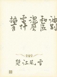 插电混和油电混有什么区别哪个好