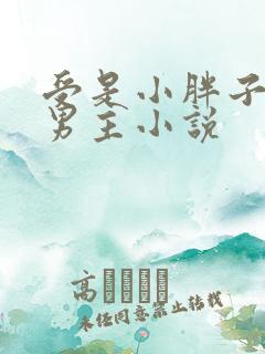 受是小胖子的双男主小说