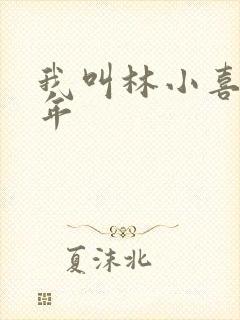 我叫林小喜,今年