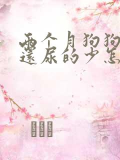 两个月狗狗尿频还尿的少怎么办