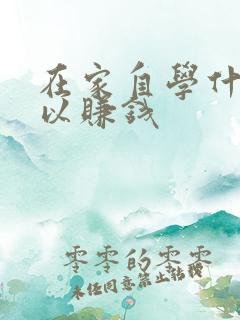 在家自学什么可以赚钱