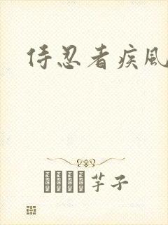 侍忍者疾风传说