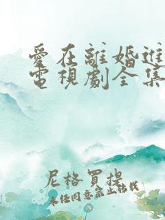 爱在离婚进行时电视剧全集免费观看