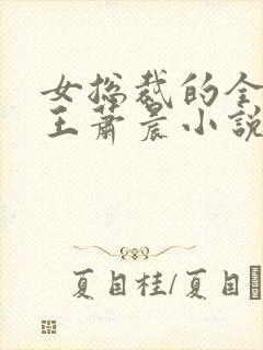 女总裁的全能兵王萧晨小说完本