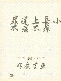 尿道上长小水泡不痛不痒