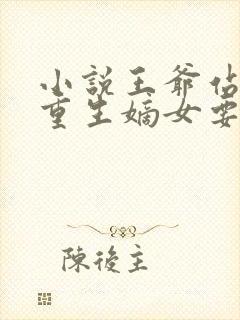 小说王爷站住 重生嫡女要强嫁