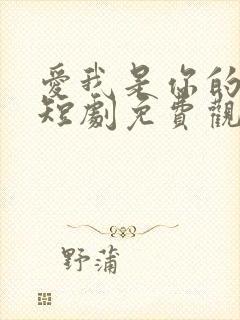 爱我是你的谎言短剧免费观看高清