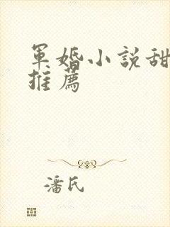 军婚小说甜宠文推荐