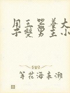 用玉器养大的皇子双男主小说