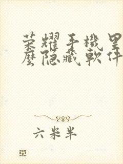 荣耀手机里面怎么隐藏软件