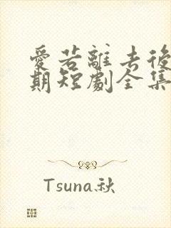 爱若离去后会无期短剧全集