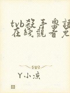 tvb杀手粤语在线观看免费高清