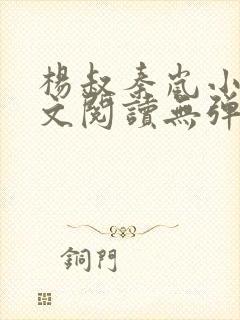 杨叔秦岚小说全文阅读无弹窗