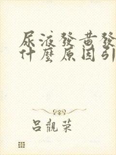 尿液发黄发浑是什么原因引起的