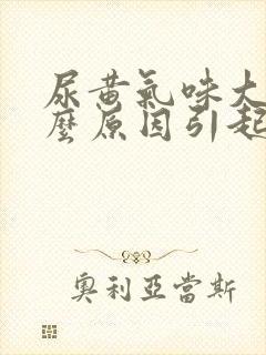 尿黄气味大是什么原因引起的