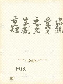 重生之爱你如初短剧免费观看