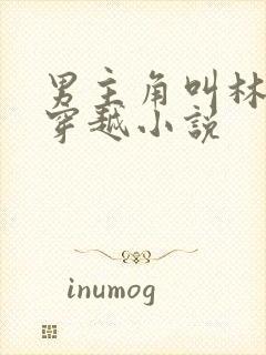 男主角叫林辰的穿越小说