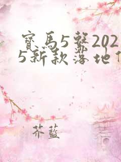 宝马5系2025新款落地价格