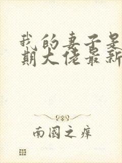 我的妻子是大乘期大佬最新章节