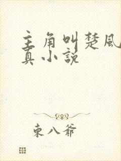 主角叫楚风的修真小说