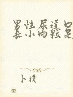 男性尿道口周围长小肉粒是怎么回事