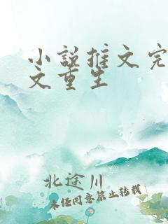 小说推文完结爽文重生