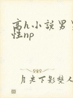 高h小说男男双性np