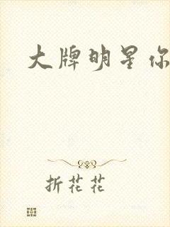 大牌明星你站住