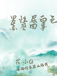 男性尿白色的尿怎么回事