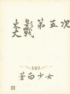 火影第五次忍界大战