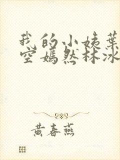 我的小姨叶凡司空嫣然林冰