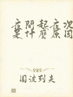 夜间起夜次数多是什么原因