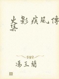 火影疾风传多少集